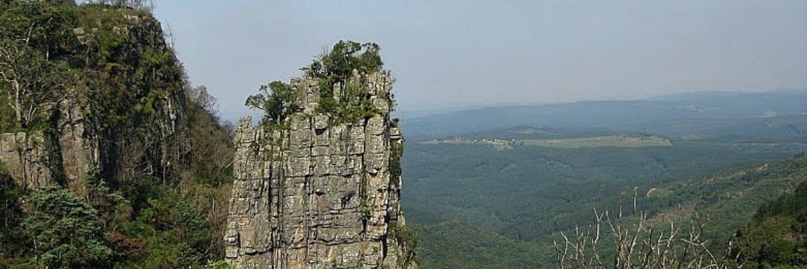 Video boodschap op Bevrijdingsdag | Flying Eagle