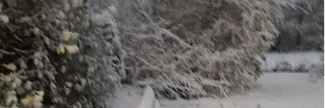 Waar is het Kerstkind? | Flying Eagle