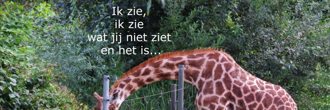 Weet jij wat de giraffe ziet? | Flying Eagle