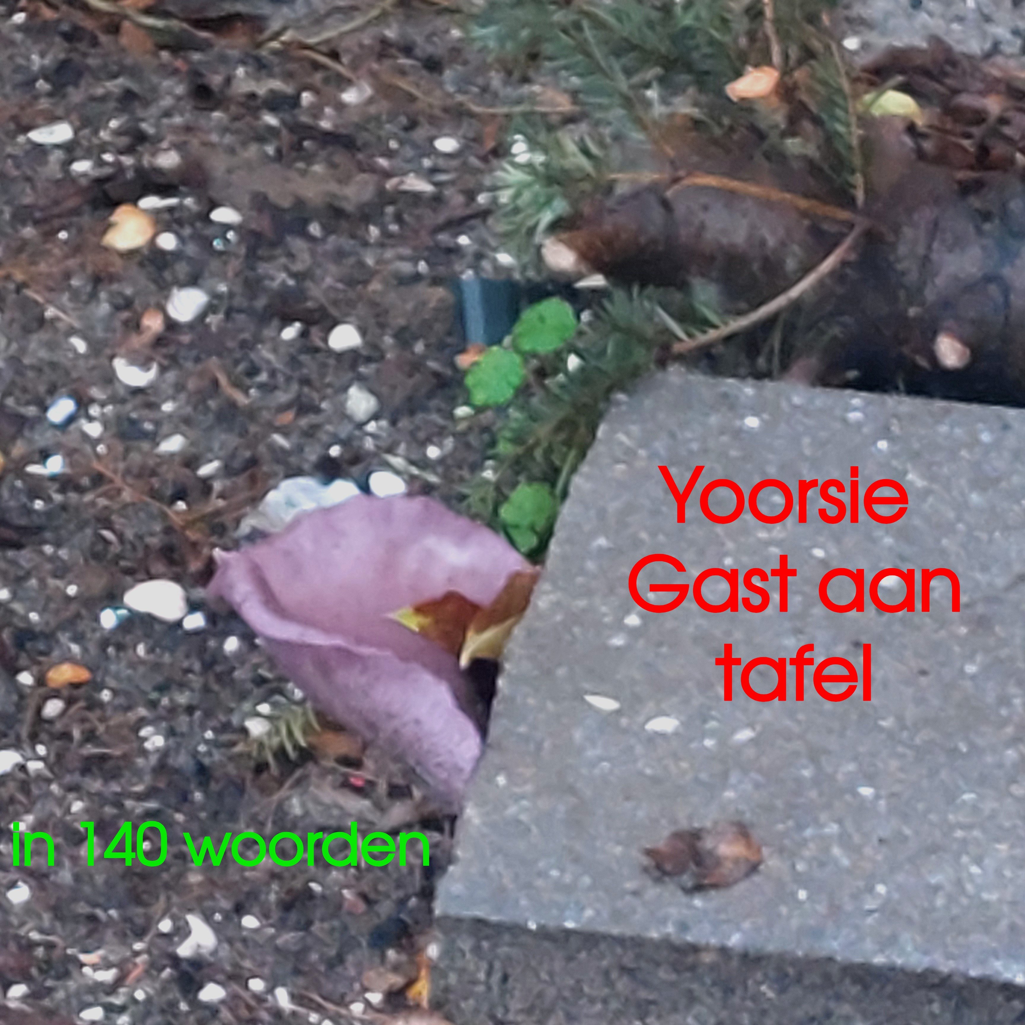 Een Yoorsie te gast (1) | Flying Eagle