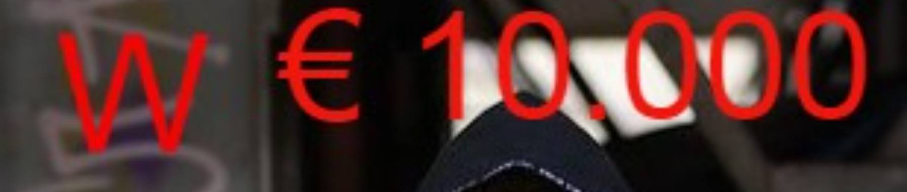 Wat zie jij in dit bos vol bladeren?  | Flying Eagle