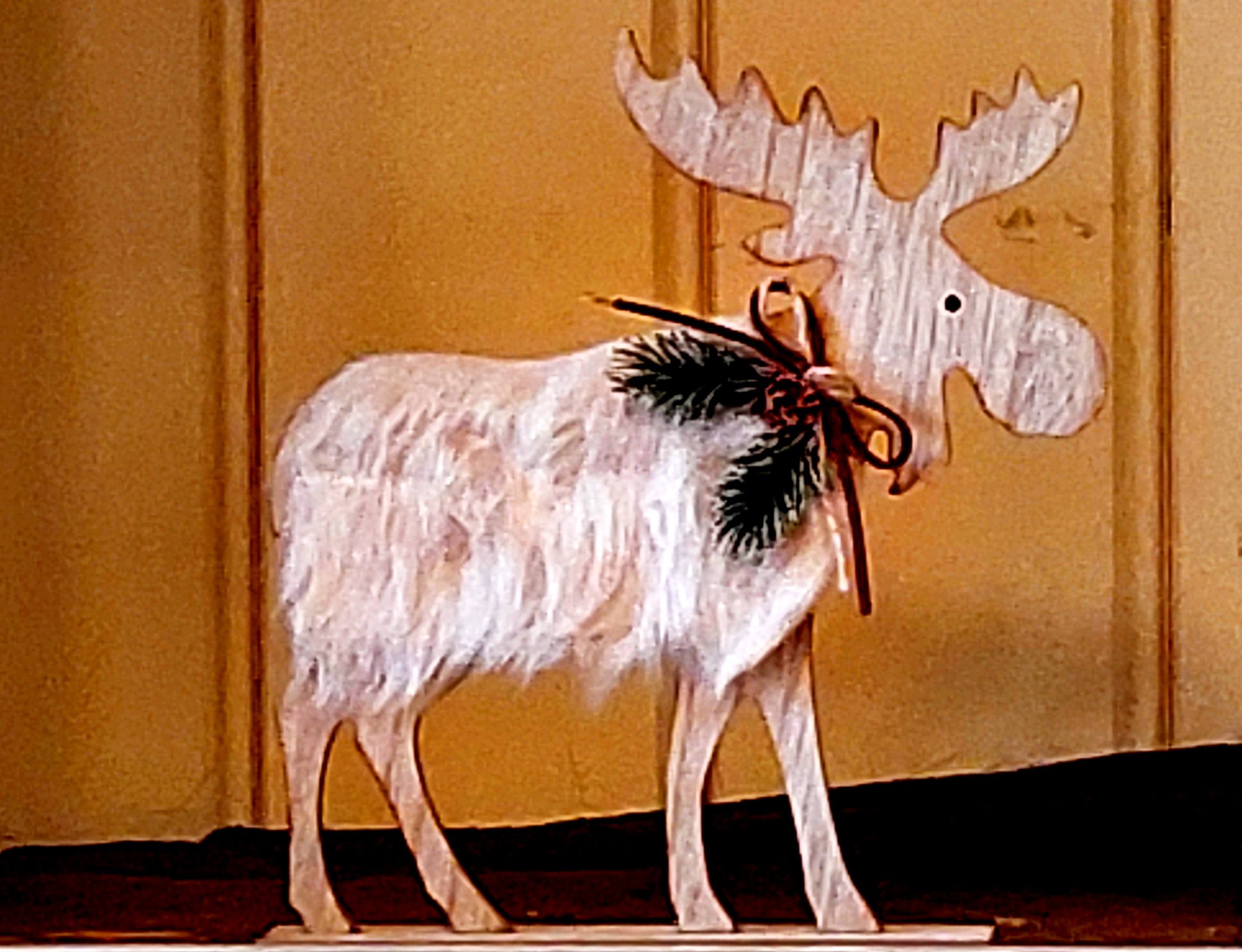 Is Rudolph echt rednosed? | Flying Eagle