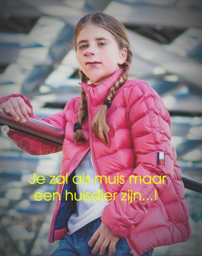 Muizen als huisdieren | Flying Eagle