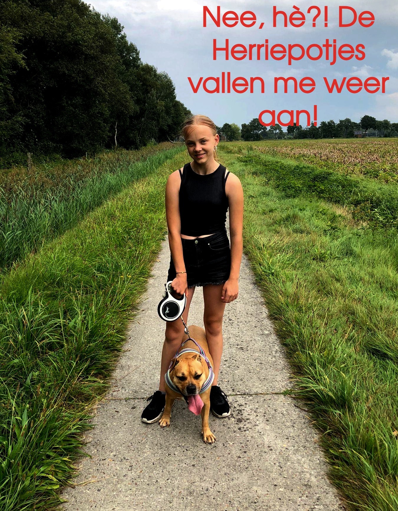 Toch weer herrie om Demi heen | Flying Eagle