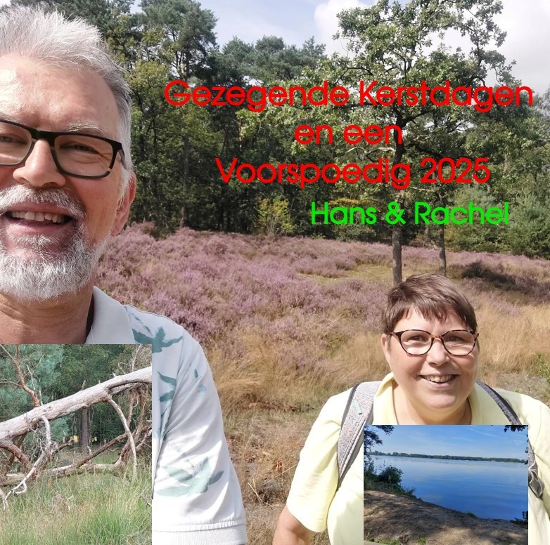 Een Delftse Kerstgroet | Flying Eagle