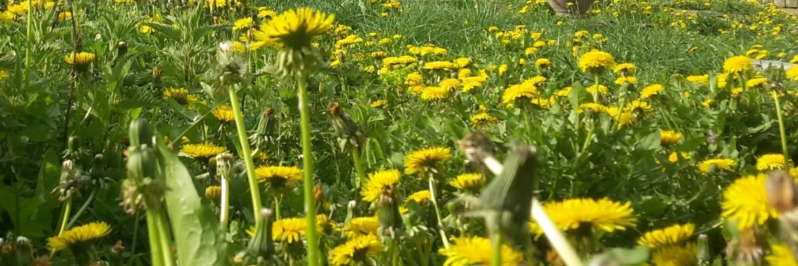 Geluk in het midden van nergens (3) | Ilonkatje
