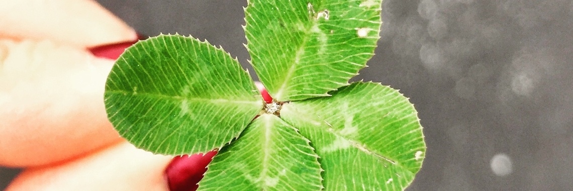 Als je geluk hebt.... | vic bode