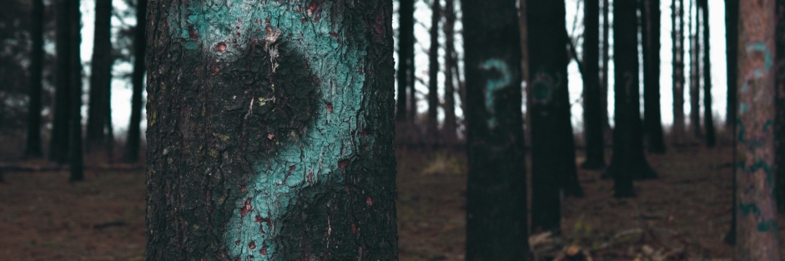 Hoe communiceer je met precisie en effectiviteit ? | vic bode