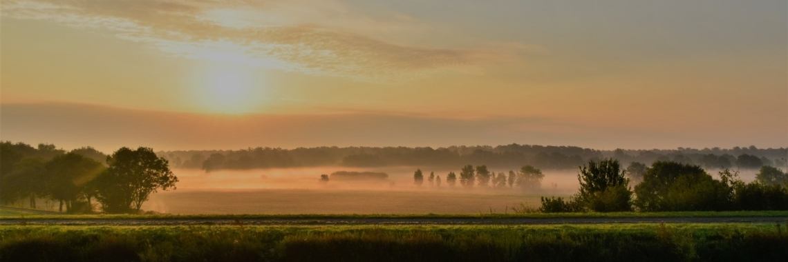 Achtertuin (rondeel) | Els Vergaerde