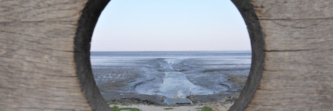 Bij de zeehonden kijkwand. | Els Vergaerde