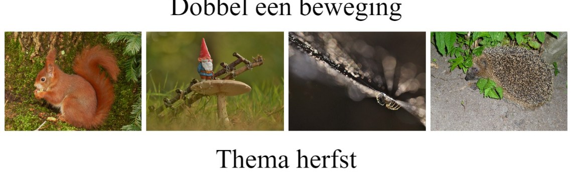 Dobbel een beweging, thema herfst. | Els Vergaerde