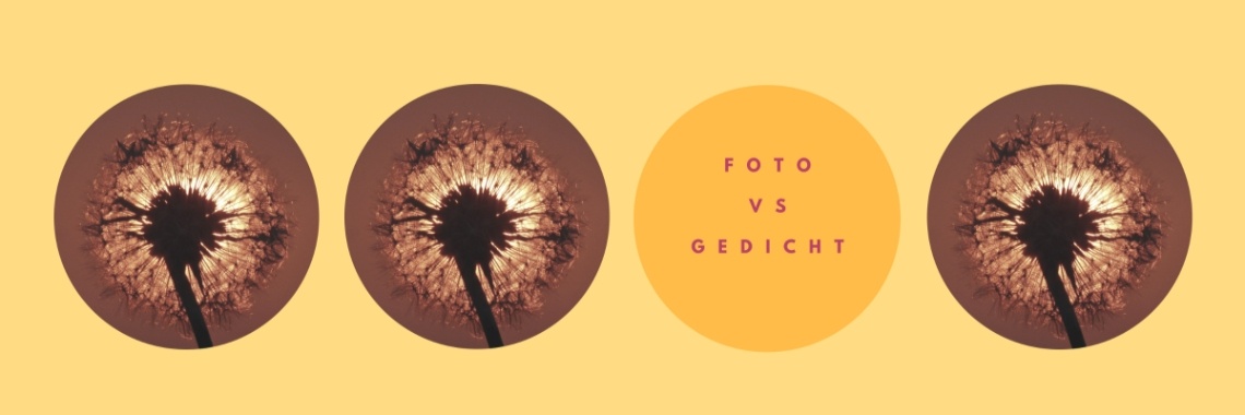 Foto vs Gedicht | Els Vergaerde