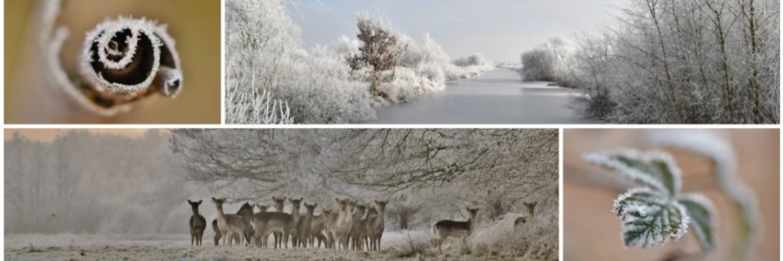 Kerstwensen en meer! | Els Vergaerde