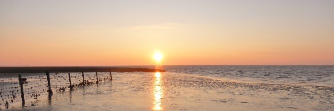 Olifant in de porseleinkast (2) | Els Vergaerde
