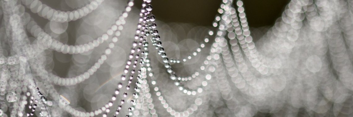 Op liefdespad. | Els Vergaerde