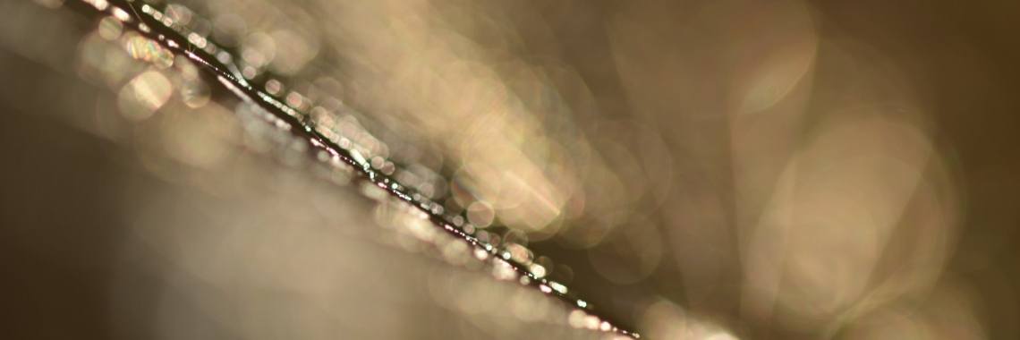 September, de tijd van de liefde. | Els Vergaerde