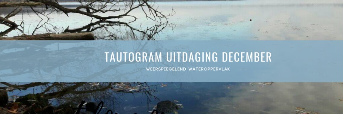 Tautogram Weerspiegelend wateroppervlak | Els Vergaerde