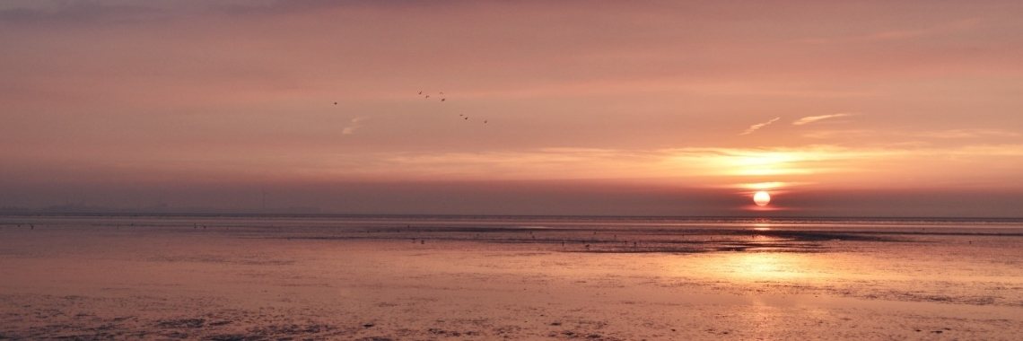 Wat is de kracht van wandelen | Els Vergaerde