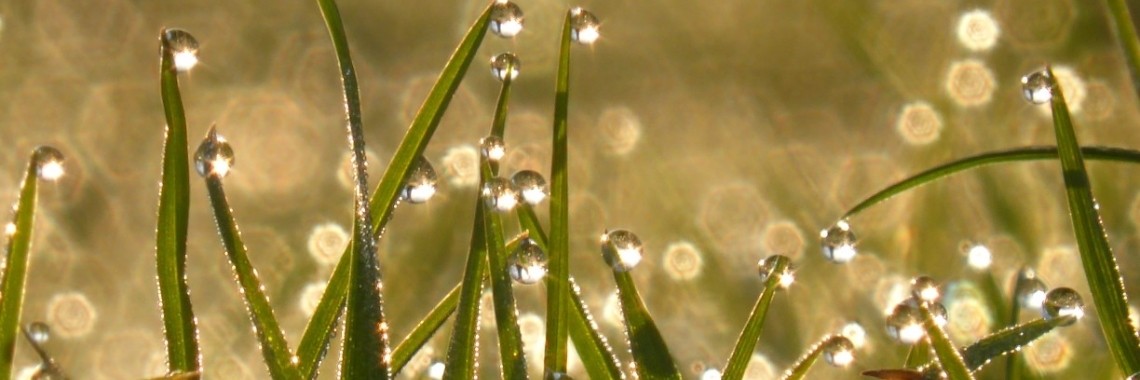 Wat voor een druppel ben ik? | Els Vergaerde