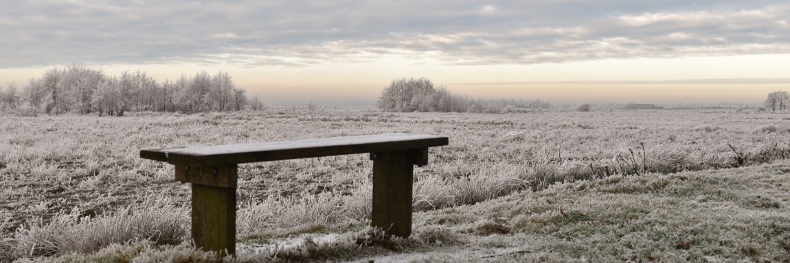 Wie weet de naam van dit zeldzaam winters natuurverschijnsel? | Els Vergaerde