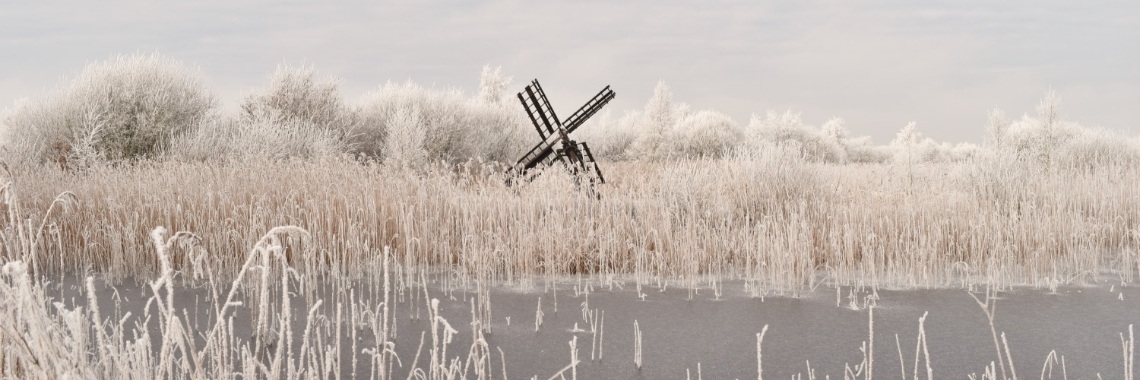 Winter in De Deelen | Els Vergaerde