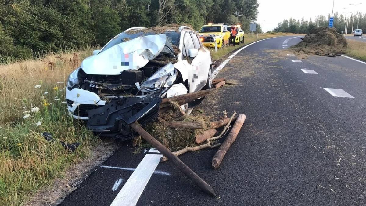 Stop paying the polluters! | Hans