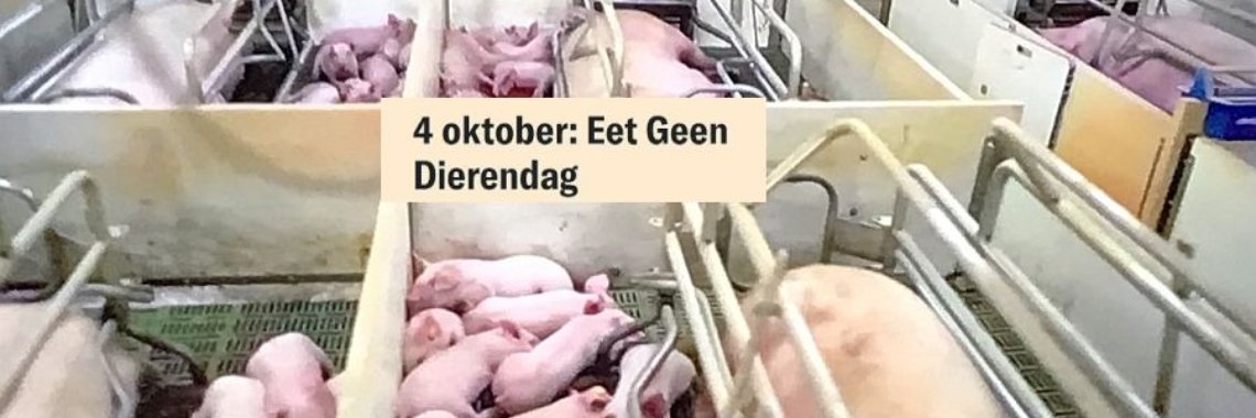 De mens is een dier | Hans